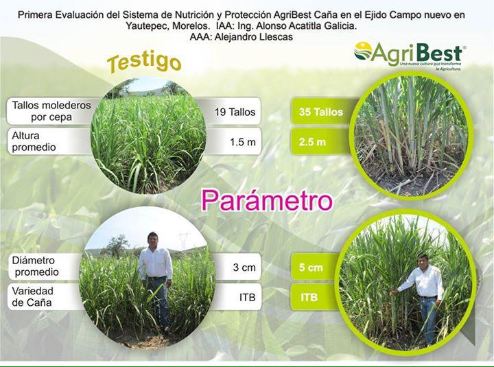 ¿Notas la diferencia?
Sólo nosotros te damos mayor rendimiento y menor costo. #SistemaAgribest