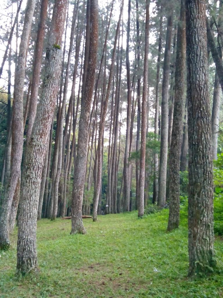 FoodSarana's tweet photo. Good Morning! :) http://t.co/i5t30uXRxL