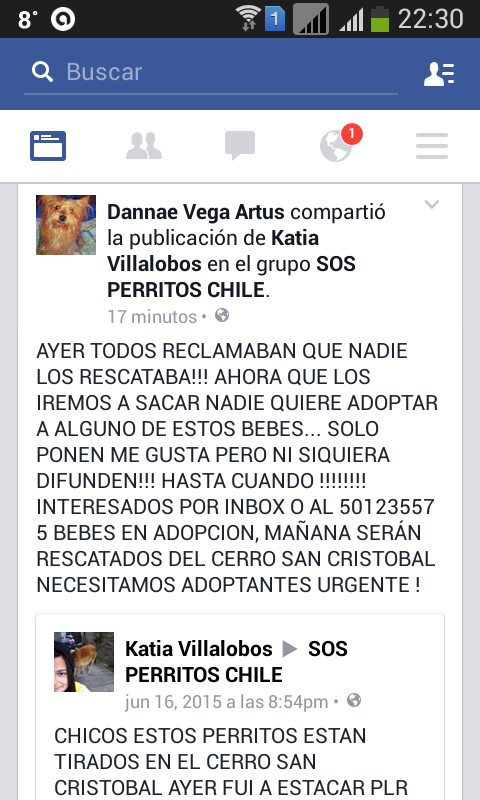 Sita Marce tweet media