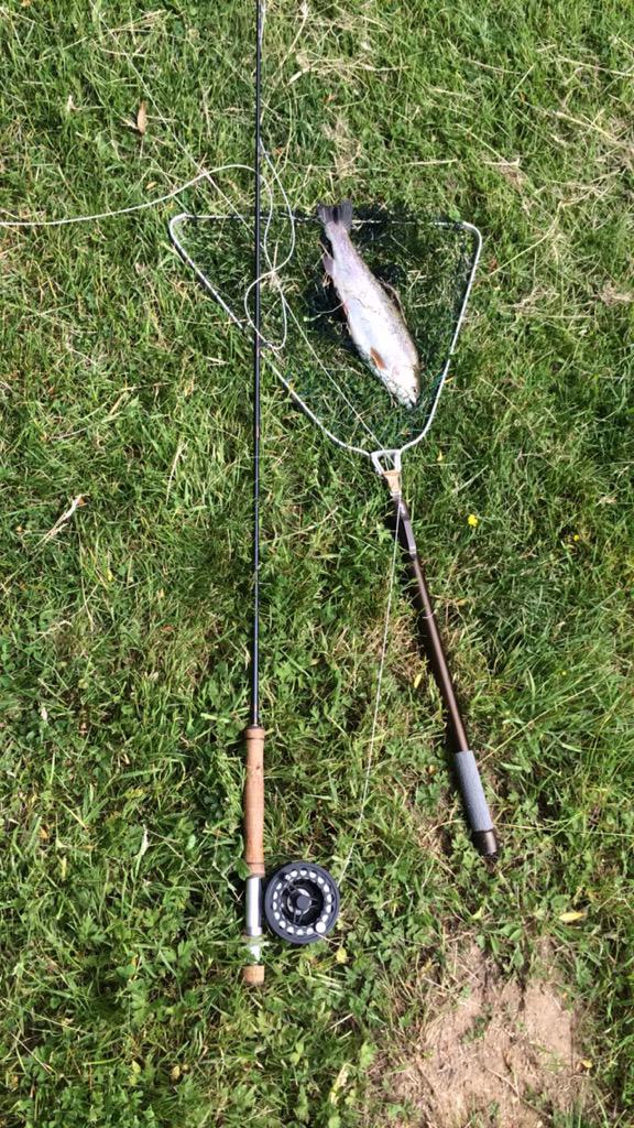 Jacob Moore tweet media