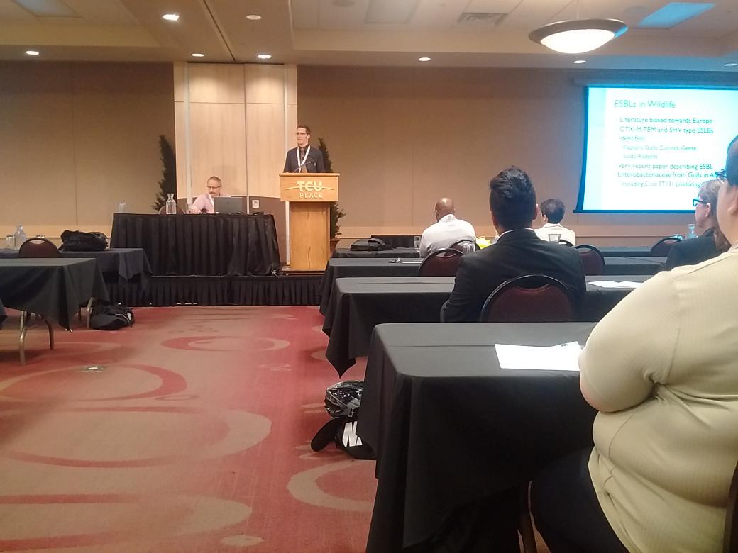 Extended Spectrum Beta Lactamase resistant bacteria carried by wild birds findings by  Dr. Joseph Rubin