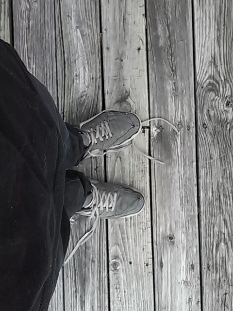 Apparently its that time