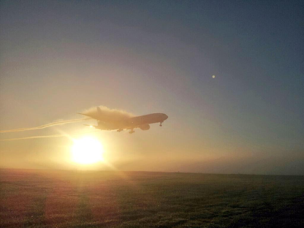 Amazing photos of the fog at <a href="/BrisbaneAirport/">Brisbane Airport ✈️</a> this morning! It's burning off fast! #fog @tennewsqld
