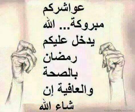 amdifaa's tweet image. 