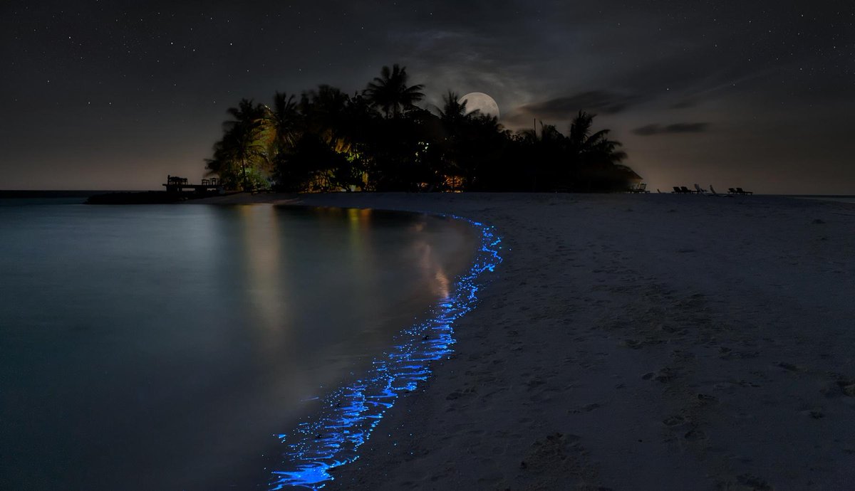 Maldives beach sand nature bonito sea blue night HD wallpaper   Peakpx