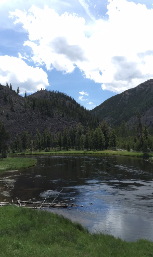 JaredLeto's tweet photo. JUST LANDED #GreatWideOpen #yellowstone http://t.co/Z0Np84pffu