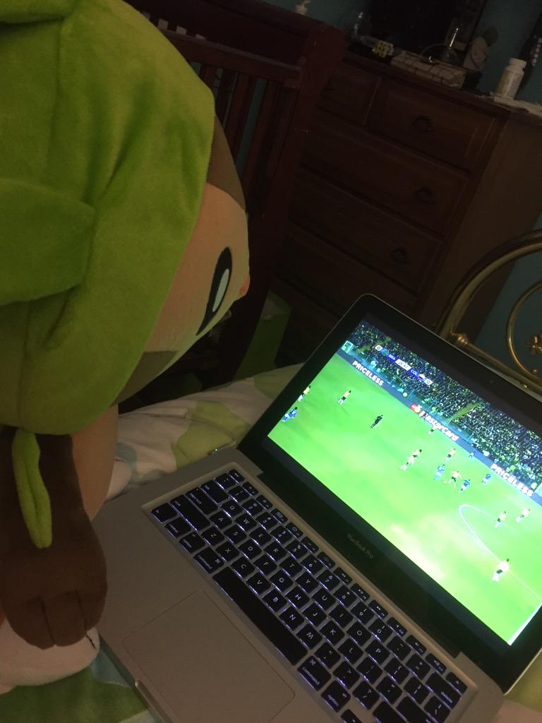 TrainerLadyT's tweet image. He likes what his trainer likes :)