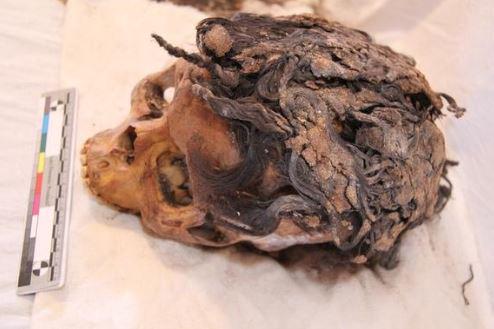 HairPhenomenal's tweet image. WHOA! 3,300 year old #hairextensions discovered in Egypt! Now, that's #phenomenal nbcnews.com/science/weird-…