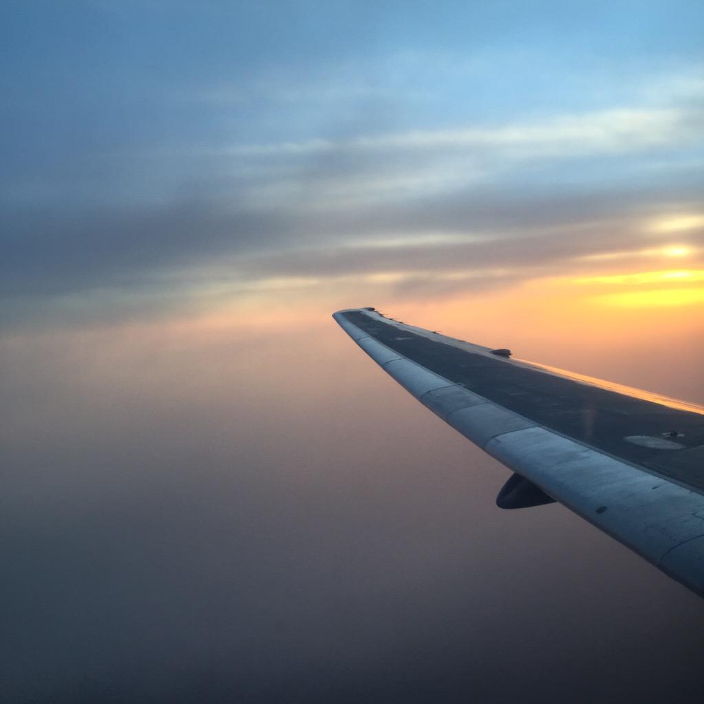 folioweed's tweet photo. in love http://t.co/uSzqKwjG9V