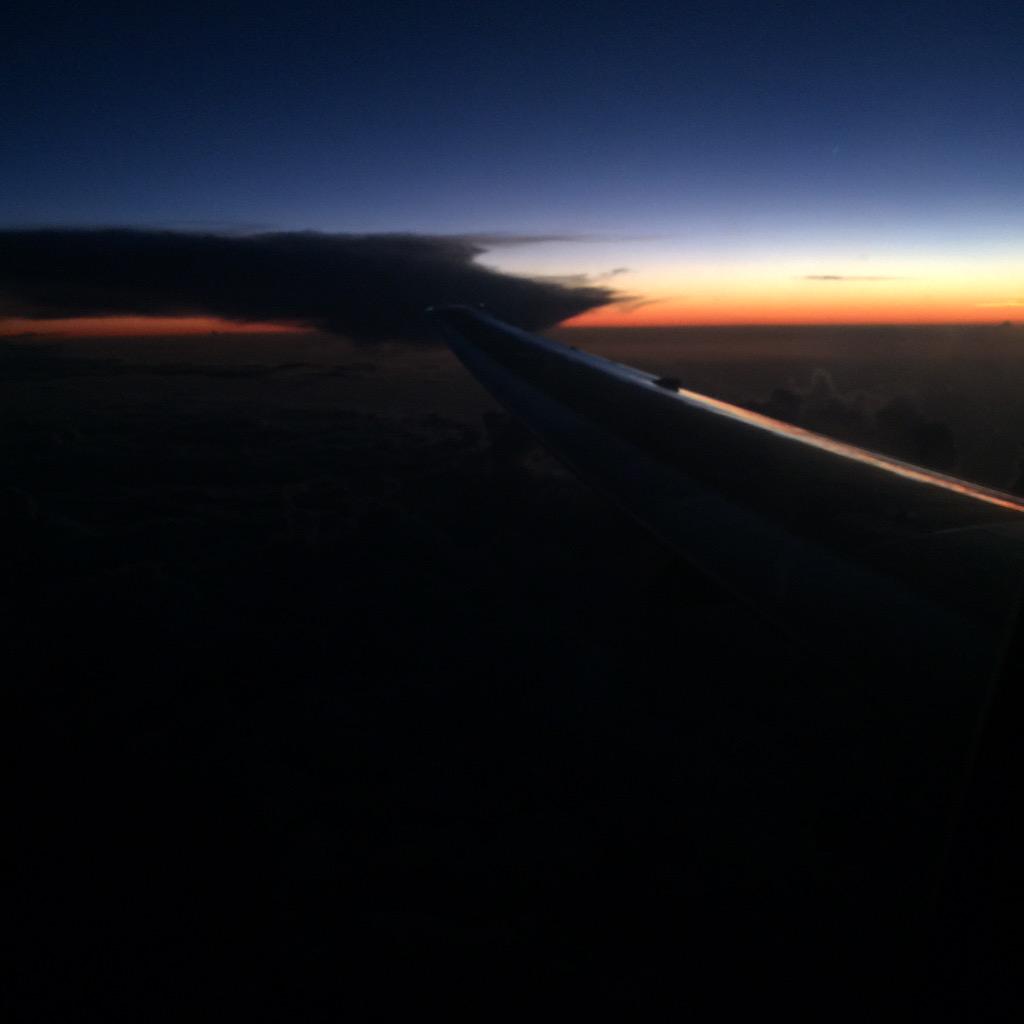 folioweed's tweet photo. in love http://t.co/uSzqKwjG9V