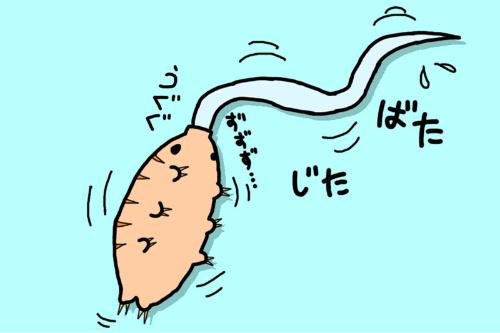 クマムシのtwitterイラスト検索結果 古い順