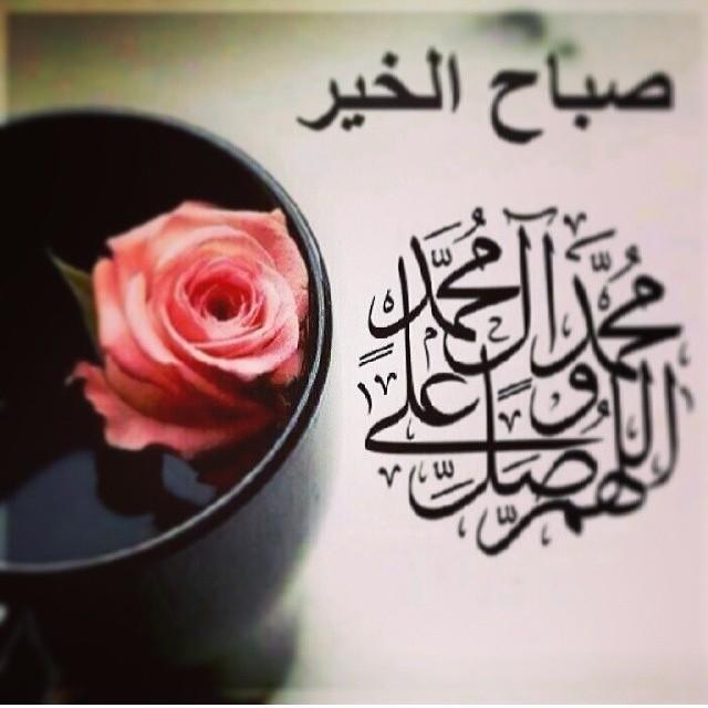I_HUSSEIN313's tweet photo. 💖اللهم صل على محمدوال محمدوعجل فرجهم ياكريم💖🌸صبااااااحكم خيرات ومسرات🌸 http://t.co/q5mYMbMFUv
