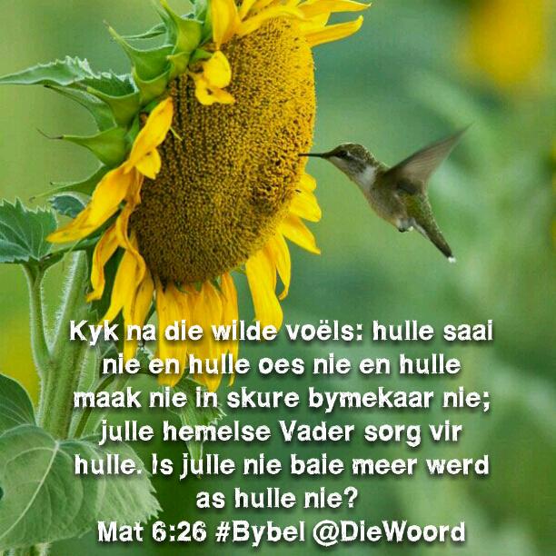 Mat 6:26 #Bybel