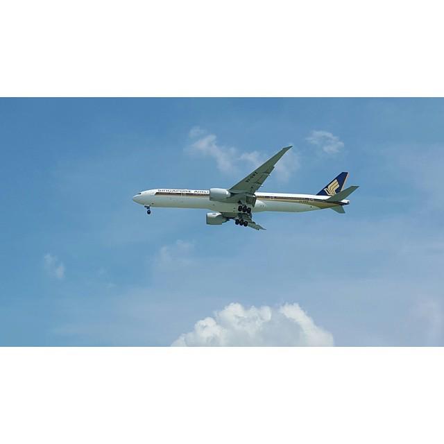 DeltaBravo33's tweet image. Instagram : by maomaomao_ - I iz geek. [ SQ001 from SFO/HKG. 777-300ER 9V-SWZ ] #boliao #planespotting #boeing #777…