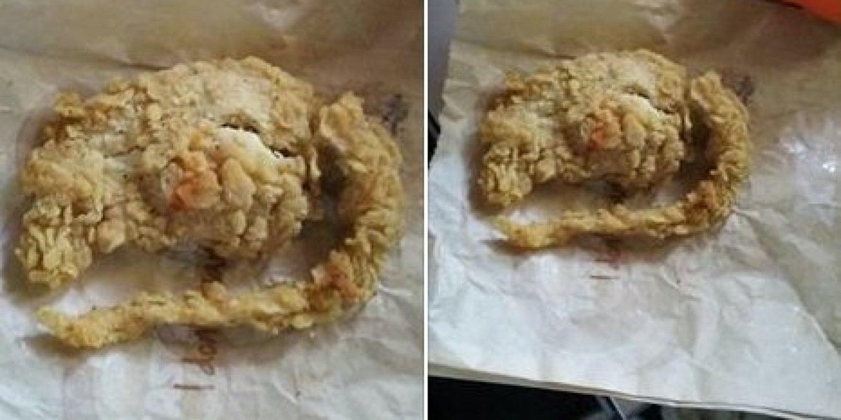 HuffPost's tweet photo. This weird-looking chicken tender is NOT a rat, KFC says http://t.co/NjgzKCzRbO http://t.co/PEk8VdOFhp