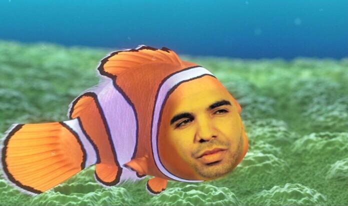 SparkleStarLove's tweet photo. Got anemones got a lot anemones http://t.co/YAaYJVLWVI