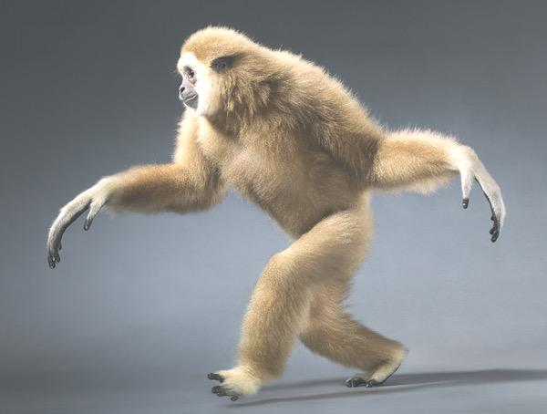 BuzzingDailyy's tweet photo. How I look with freshly polished nails. http://t.co/pSJ7r7RQu5