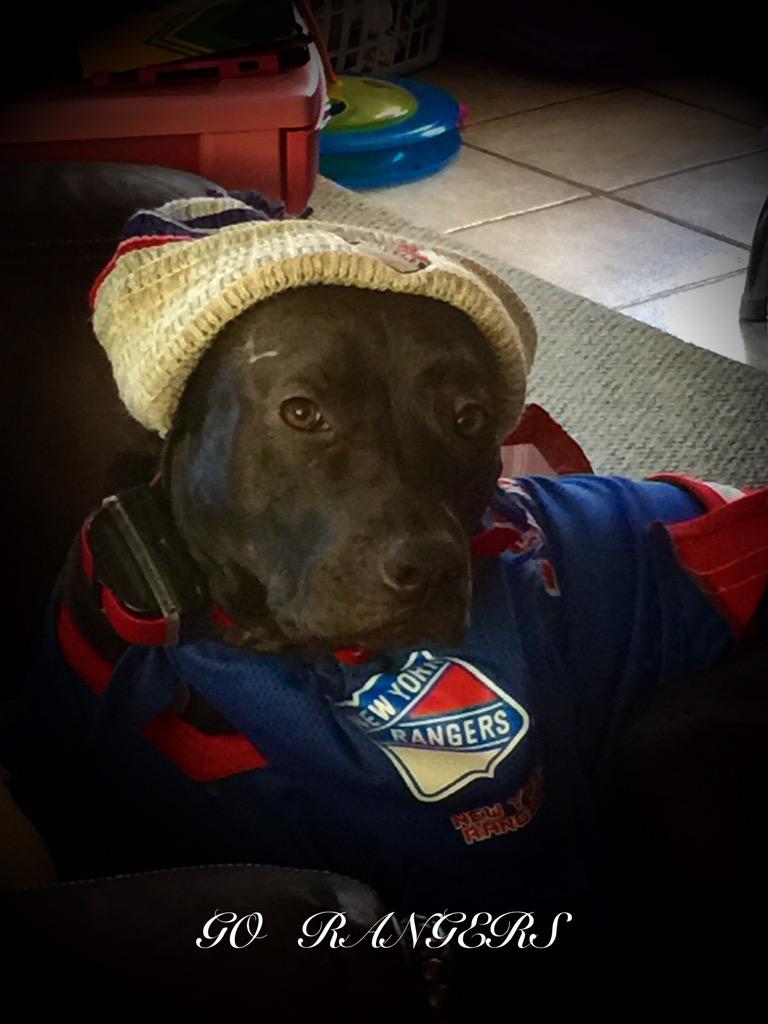 Straight from my dogs mouth \"Happy Birthday Derek Stepan\" 