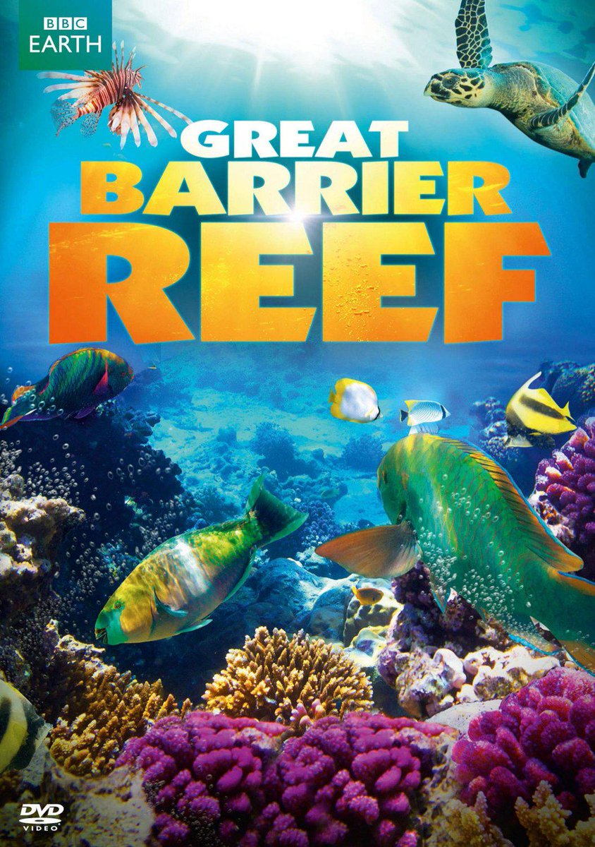Amitiht23's tweet image. #workupdates Great Barrier Reef #scripttranslation #t9n