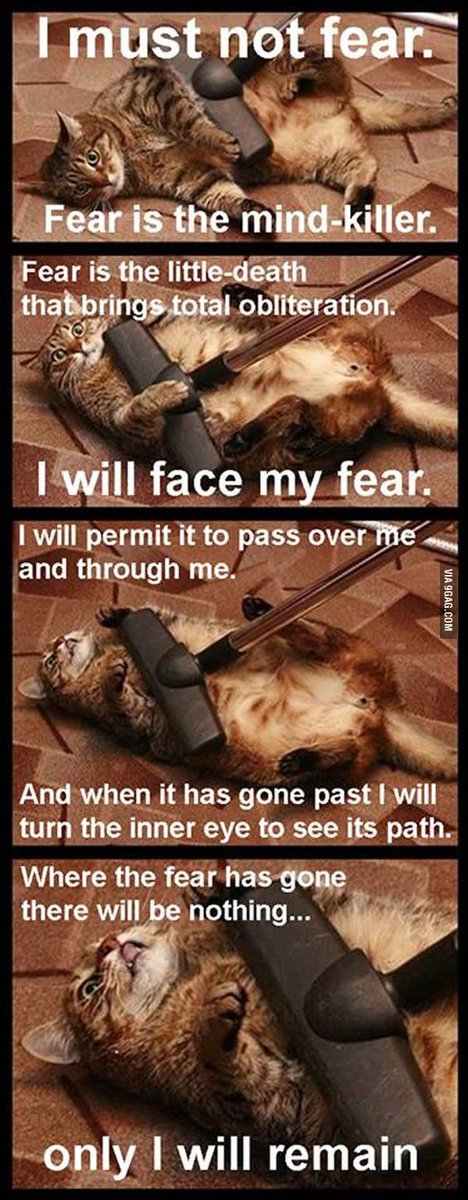 PanteraSD's tweet image. I must not #fear. Fear is the #mindkiller 
9gag.com/gag/aVWGKjO?re…