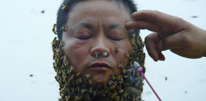 Here are our highlights from Hamburg International Short Film Festival  leedsfilm.com/news/highlight…