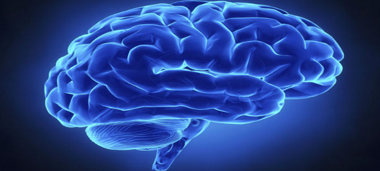 MisCromosomas's tweet photo. La holoprosencefalia (HPE) es la causa más frecuente de malformación cerebral. http://t.co/z84N5rkEaM http://t.co/hClmEnwBXN