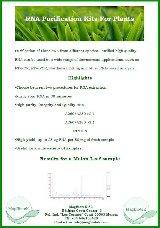 magbiotek's tweet image. Nuevo productos: Kit extraccion RNA par plantas... pide tu muestra en info@magbiotek.com