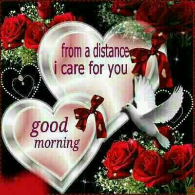 NxumaloTembi's tweet image. @Shaz_now