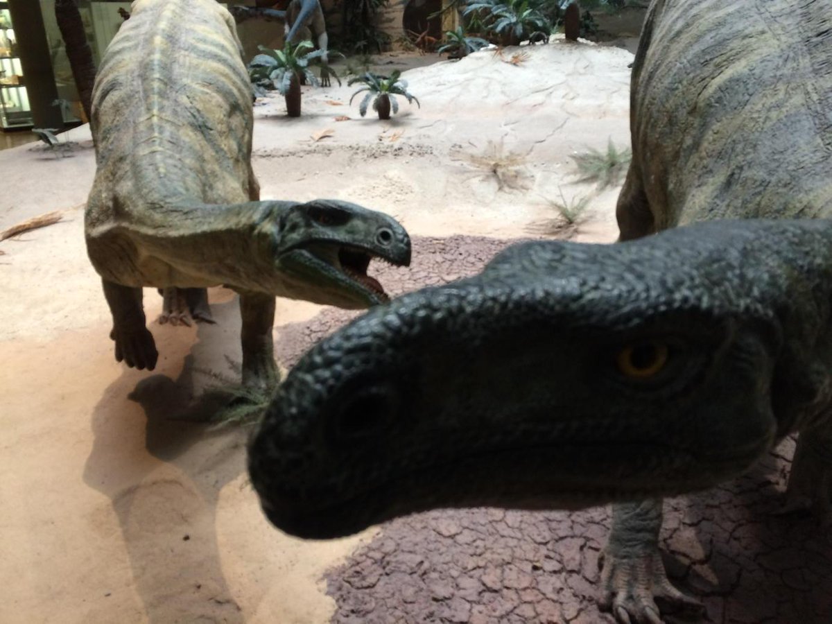 LordGrimdark's tweet photo. Here be dragons... http://t.co/QpiLzQxbwk