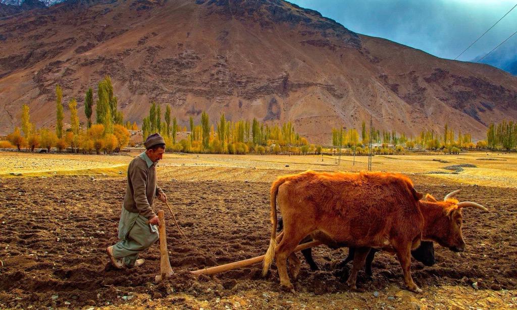 AajKeAwaam's tweet photo. “RT @fsherjan: #Phunder valley in #Ghizer region of GB #BeautifulPakistan http://t.co/Qo5Mg4bw1K” @MSharifKhattak