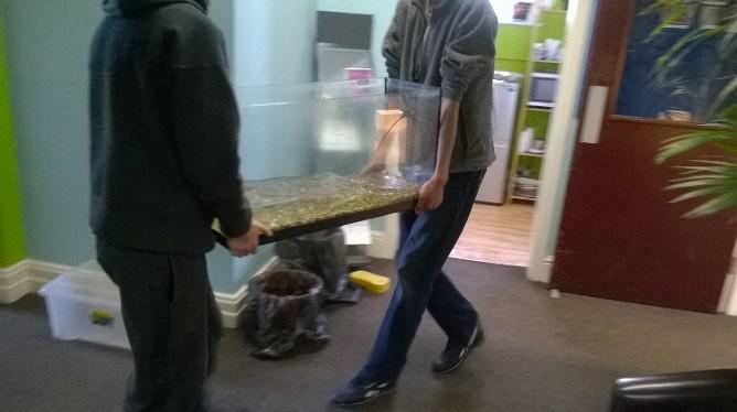 MultipleC_Leeds's tweet image. The fish have left the building...