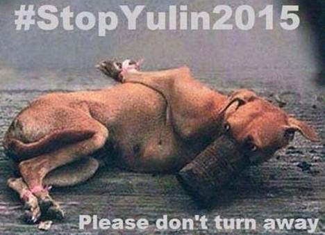 PROTECT ALL WILDLIFE tweet media