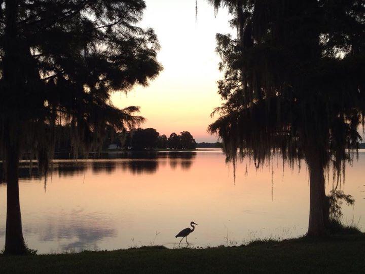 The scene at Lake Henderson in Inverness right now. Have a good day, friends! ift.tt/15nfKVb
