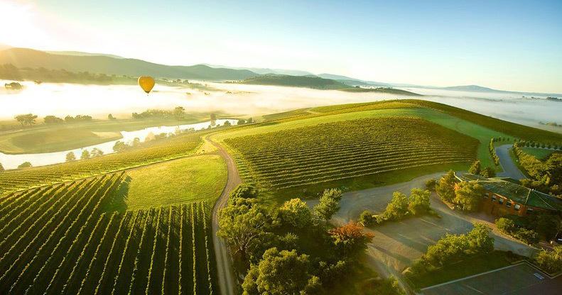 yarravalleysmallerwineries.com.au/events/shortes…