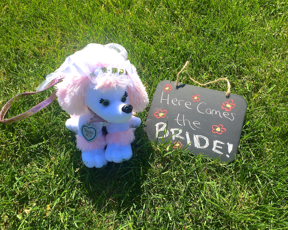 PoochieandCo's tweet photo. Anyone have a #flowergirl this summer? She needs the Bridal #PoochiePurse to perfect her look! http://t.co/0d4GCHaiKB http://t.co/GRJ3dr9iJb
