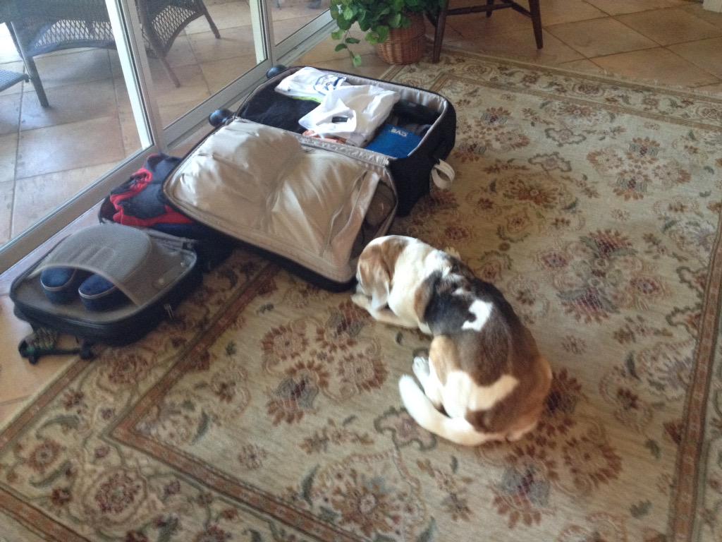 Not good, not good at all. I know what this means. They are going away. Wait, is that grandma I see. All is well