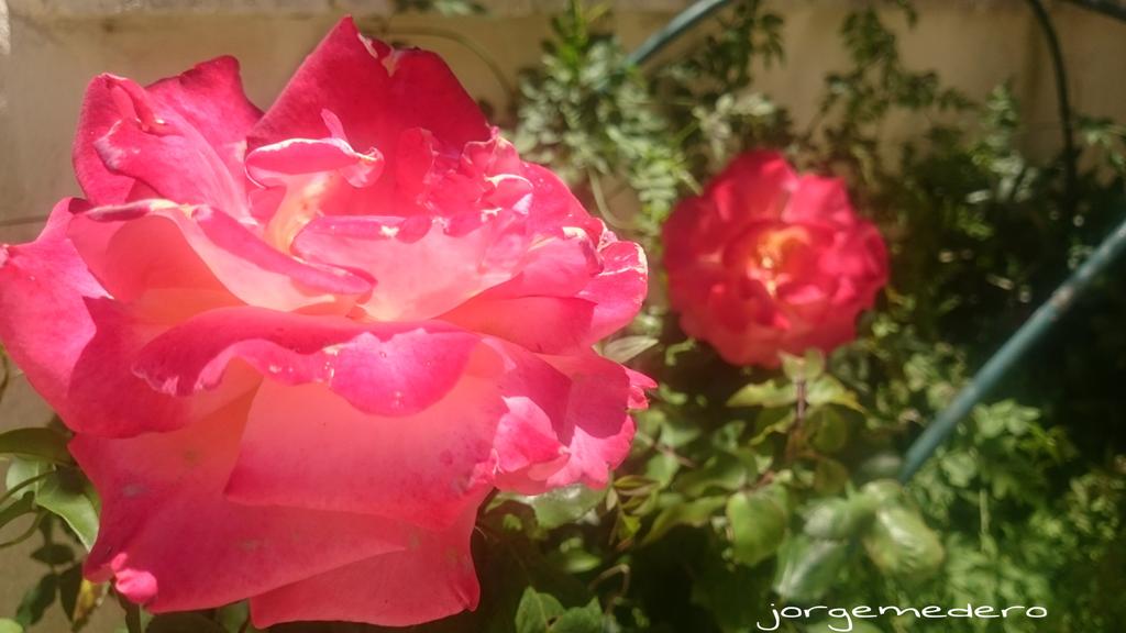 MederoLobaton's tweet photo. #PicsArt
http://t.co/jtaIvCgsLg http://t.co/mxmVmpdIcy
