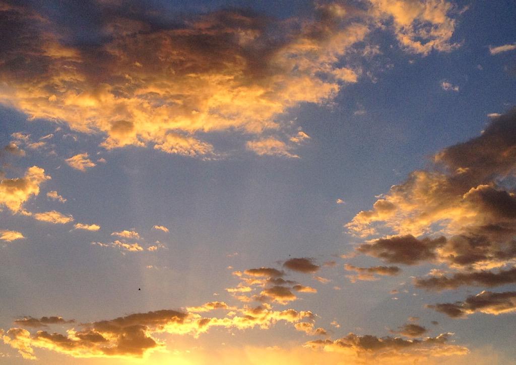 PermitsMadeEasy's tweet image. #PermitsMadeEasy: #Phoenix native and resident - established, 1998.  Serving #Arizona only - #Local First

#AZ Sunset