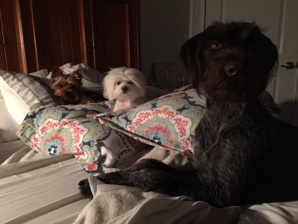 lisablively's tweet photo. We woke up like this http://t.co/zGALhAHyrf