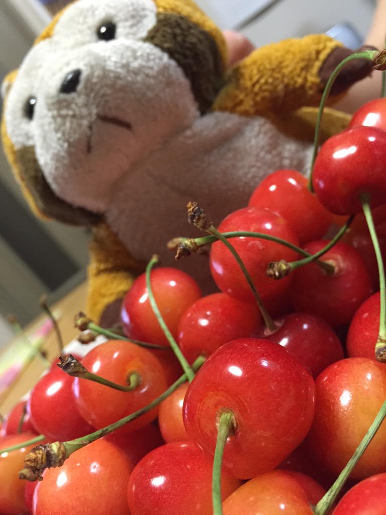 rascalmagic1's tweet image. わたし、さくらんぼ〜🎵