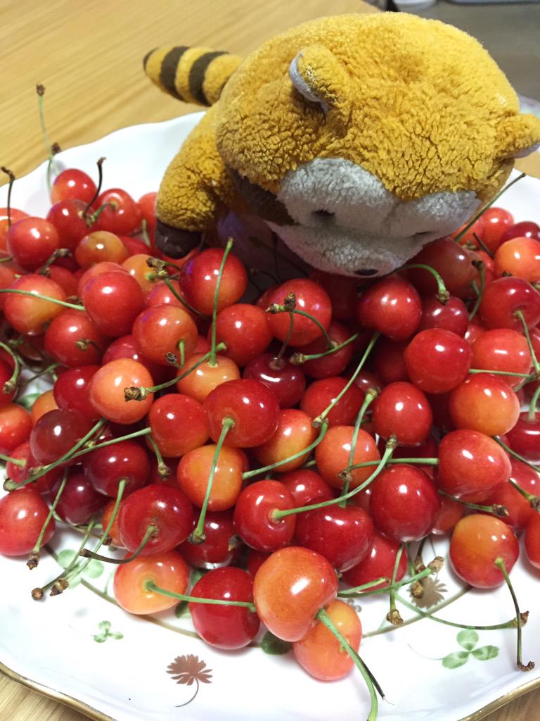 rascalmagic1's tweet image. わたし、さくらんぼ〜🎵