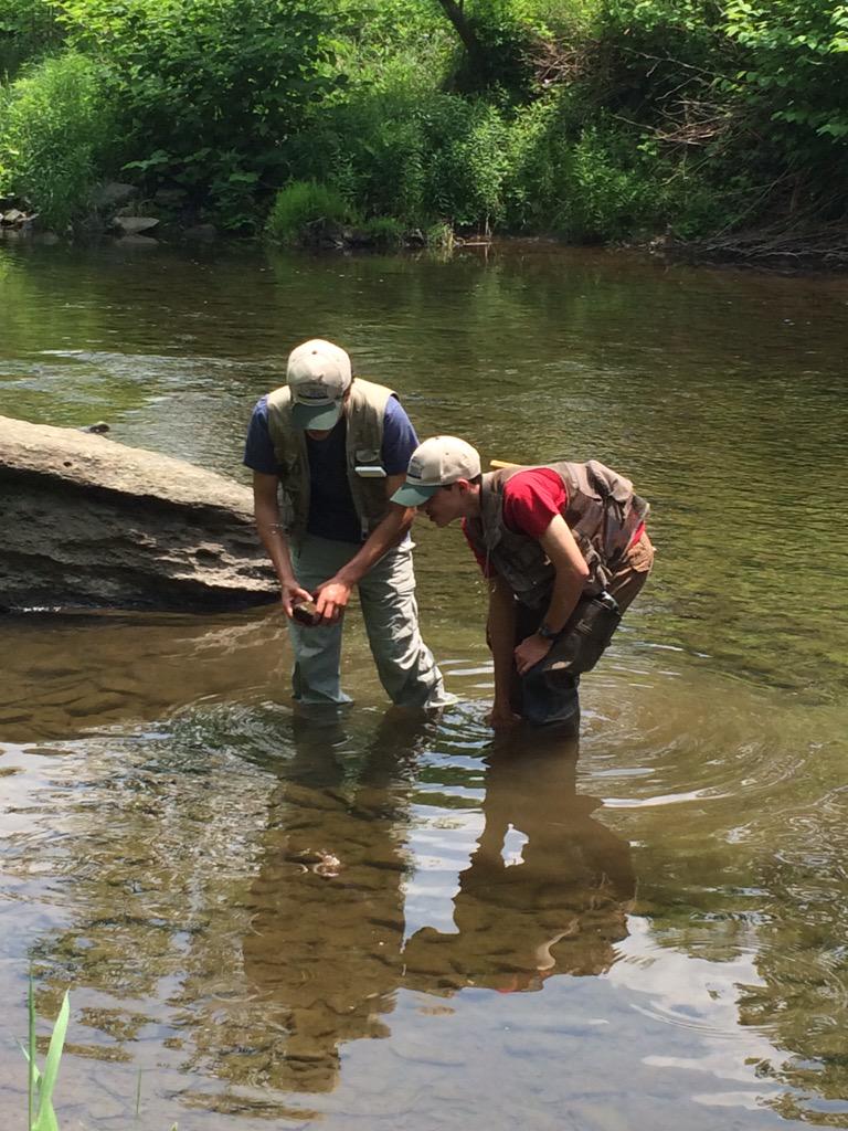 starkgeorge's tweet image. Tonight's the Night
@WNEPPowerToSave @CabotOG segment w/ @KeystoneCollege @TroutUnlimited #HuntersSharingtheHarvest
