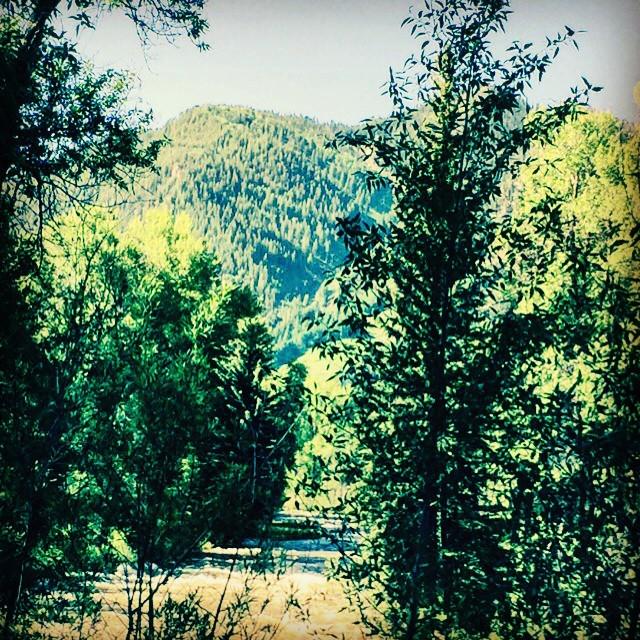 KeesToKitchen's tweet image. ift.tt/1TxOGqG