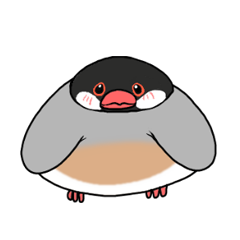 文鳥のtwitterイラスト検索結果 古い順 文鳥のtwitterイラスト検索結果 古い順