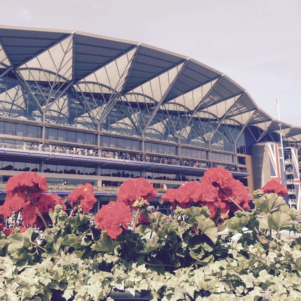 LimelightCS's tweet image. #RoyalAscot