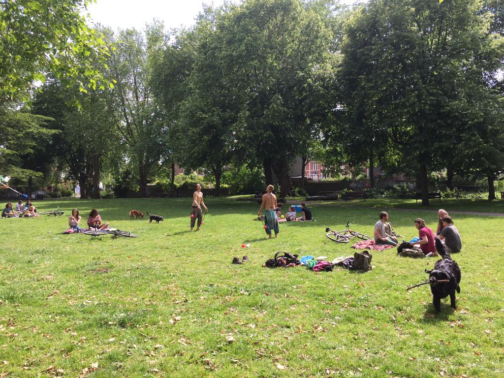 Sam__Thomson's tweet photo. Lovely afternoon in #MinaRoad #Park @bristolparkhive http://t.co/uA6olQJBUy