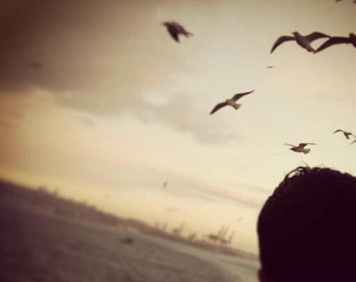 Dünya Hayatına Meyledenler Deniz Suyu İçenlere Benzerler. İçtikçe Susarlar, Susadıkça İçerler.  

İbn Arabi