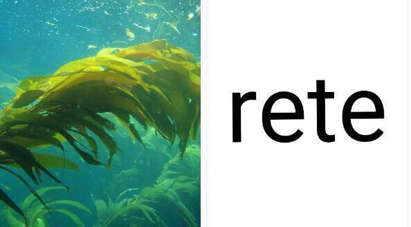 cee_gonz's tweet image. Este clima puertorriqueño está