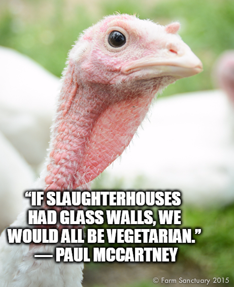 Farm Sanctuary tweet media