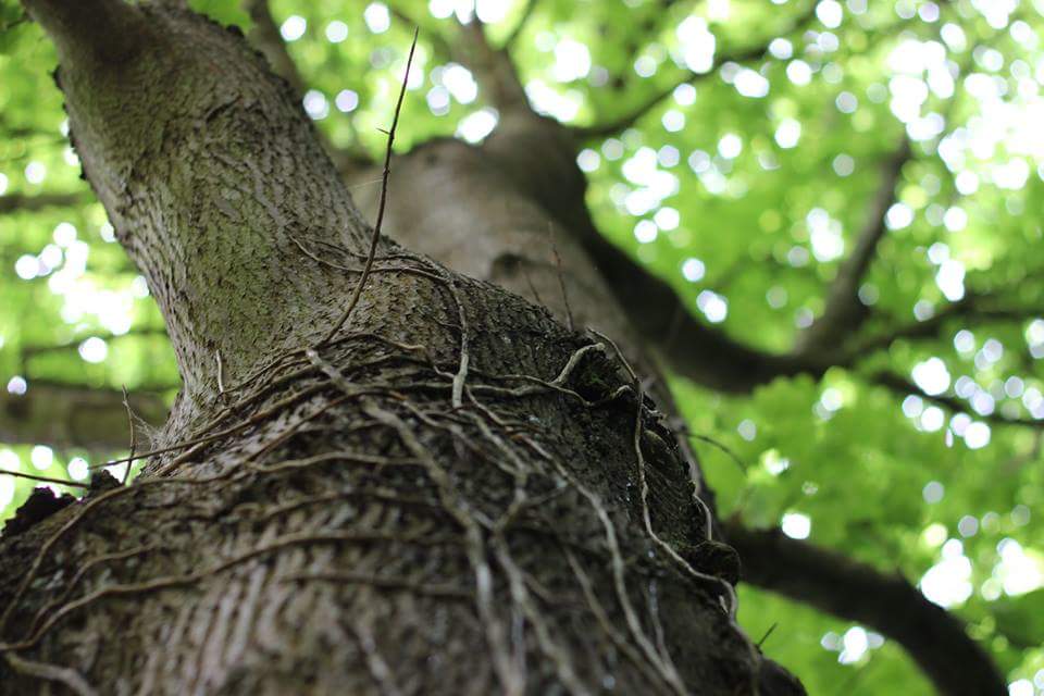 DanielReed13's tweet image. #viewingpoint ;)